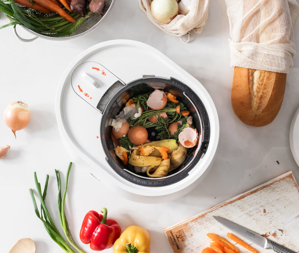 Pela Lomi