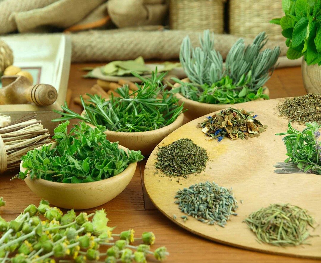 Medicinal Garden Kit