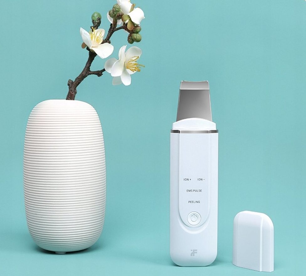InFace Ion Skin Purifier Eu MS7100