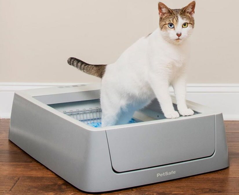 PetSafe ScoopFree