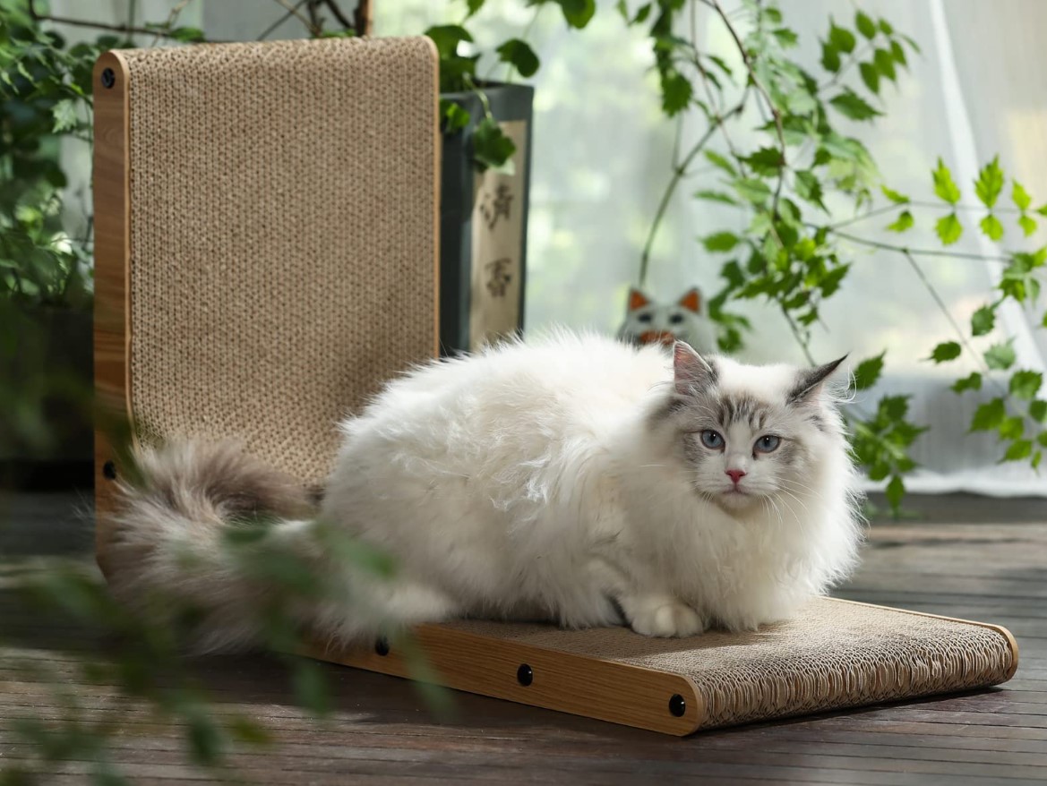FUKUMARU Cat Scratcher