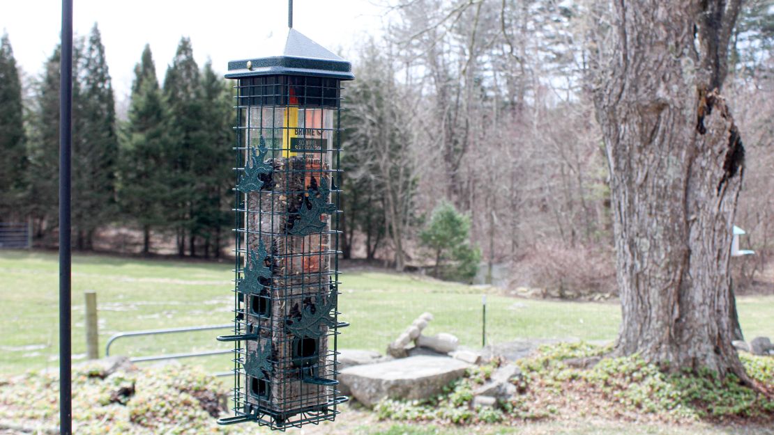 Brome Squirrel Solution 200